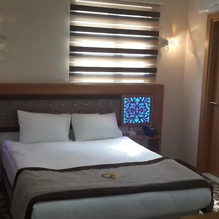 Hotel Demosan